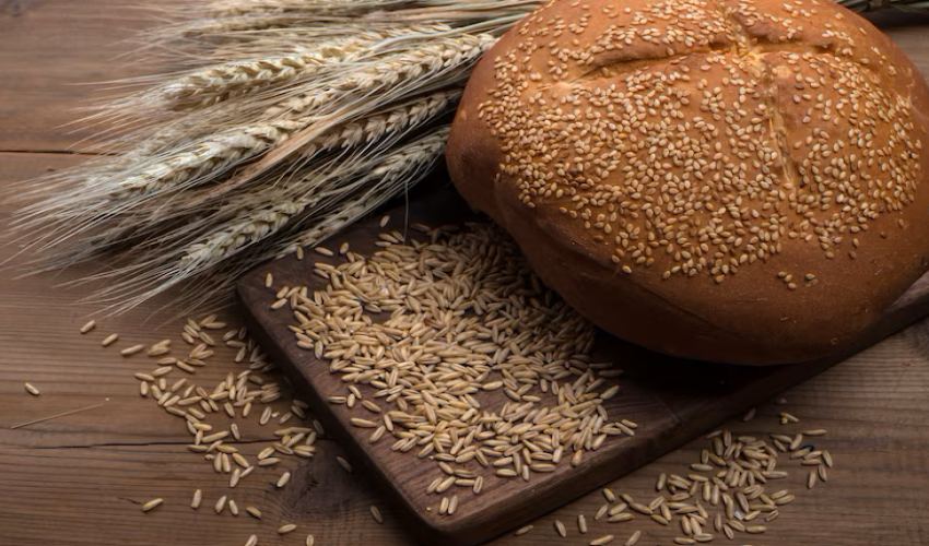 اهمیت غلات